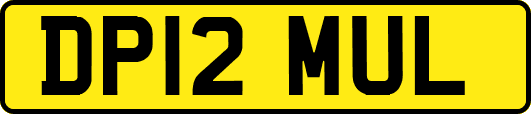 DP12MUL