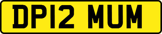DP12MUM