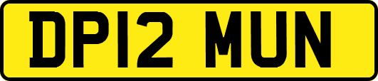 DP12MUN