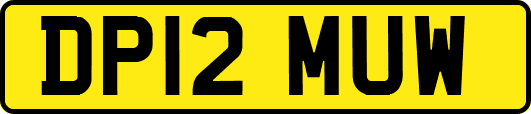 DP12MUW