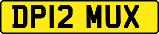 DP12MUX