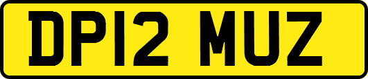 DP12MUZ