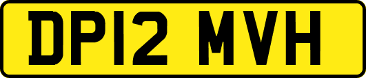 DP12MVH