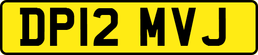 DP12MVJ