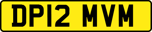 DP12MVM