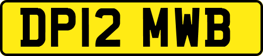 DP12MWB