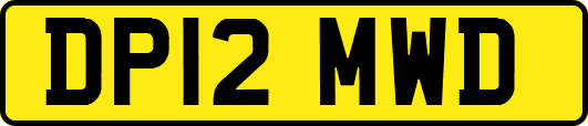 DP12MWD