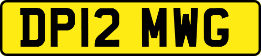 DP12MWG