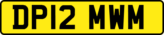 DP12MWM