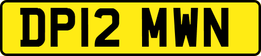DP12MWN