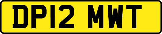 DP12MWT