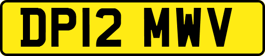 DP12MWV