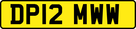 DP12MWW