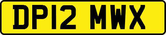 DP12MWX