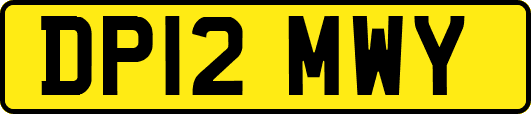 DP12MWY