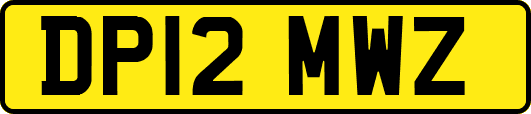 DP12MWZ
