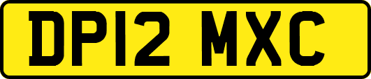 DP12MXC