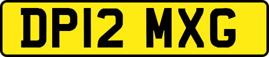 DP12MXG