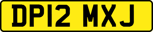 DP12MXJ