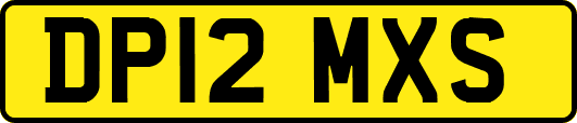 DP12MXS