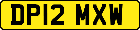 DP12MXW