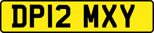 DP12MXY