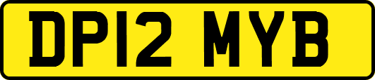 DP12MYB