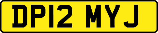 DP12MYJ
