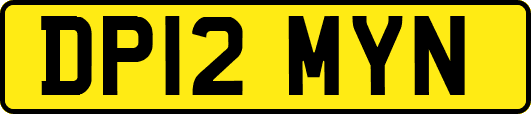 DP12MYN