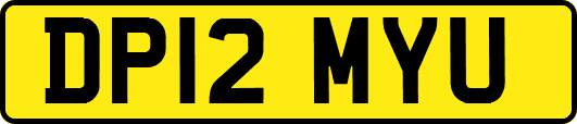 DP12MYU