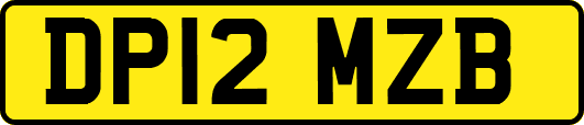 DP12MZB