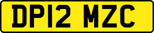 DP12MZC