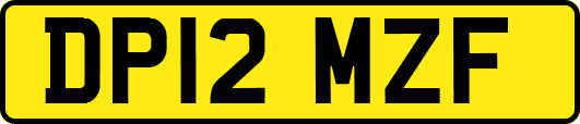 DP12MZF