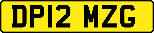 DP12MZG