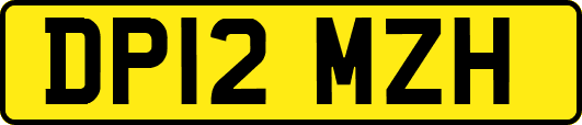 DP12MZH