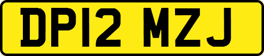 DP12MZJ