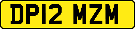 DP12MZM