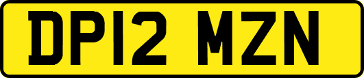 DP12MZN