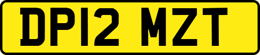 DP12MZT