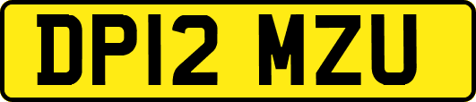 DP12MZU