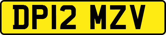 DP12MZV