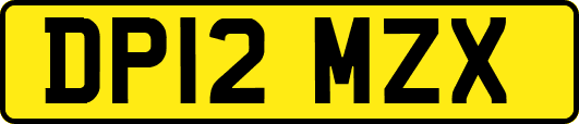 DP12MZX