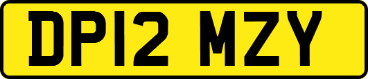 DP12MZY