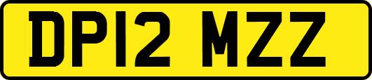 DP12MZZ