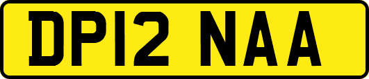 DP12NAA