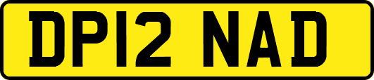 DP12NAD