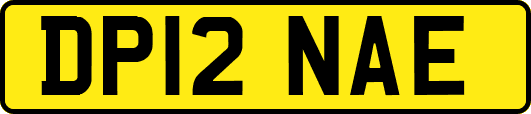 DP12NAE