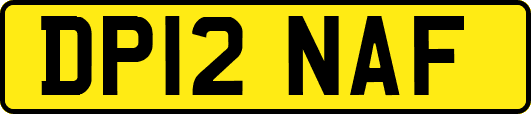 DP12NAF