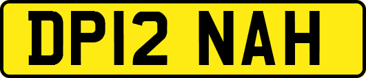 DP12NAH