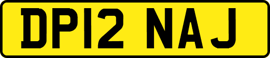 DP12NAJ